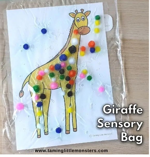 Giraffe Sensory Bag