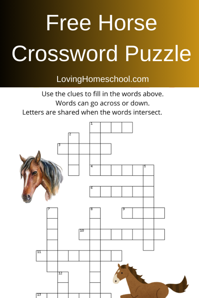 Free Horse Crossword Puzzle Pinterest Pin