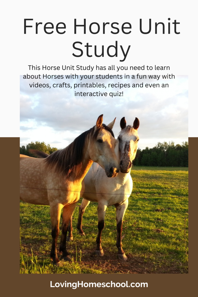 Horse Unit Study Pinterest Pin