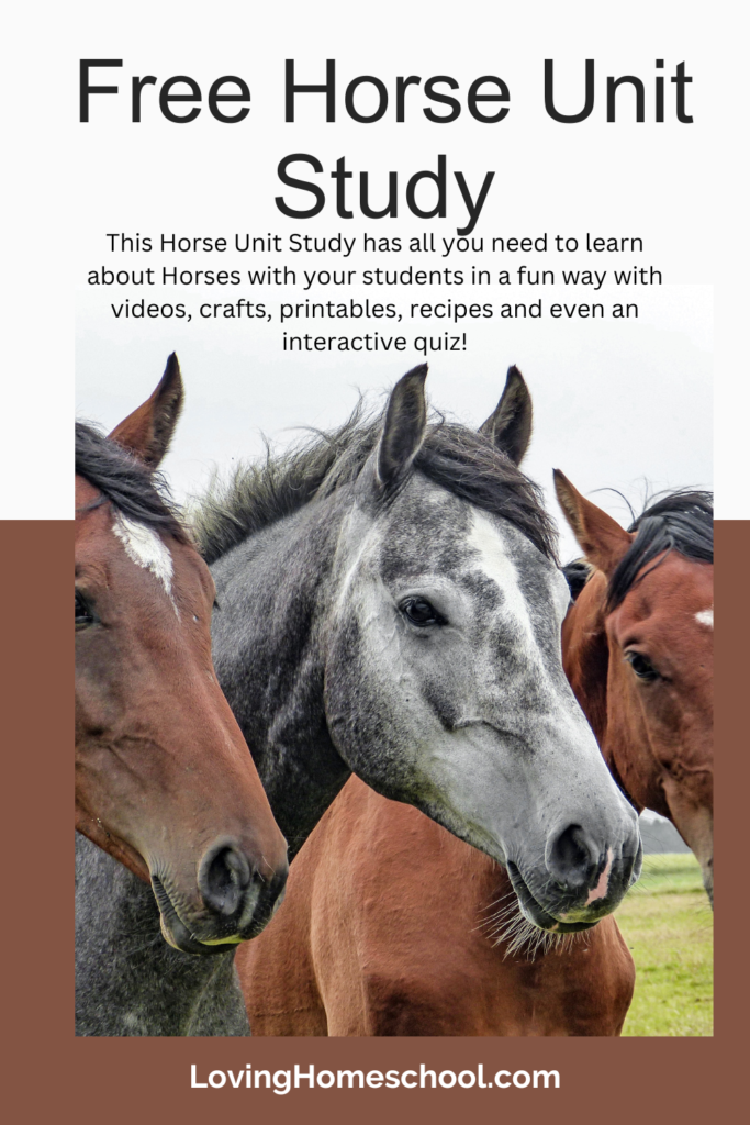 Horse Unit Study Pinterest Pin