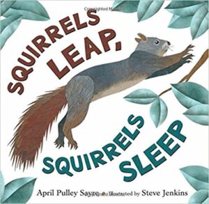 Squirrel Word Search Printables - LovingHomeschool.com