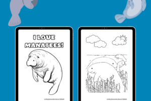 7 Manatee Coloring Pages Printables Pinterest Pin