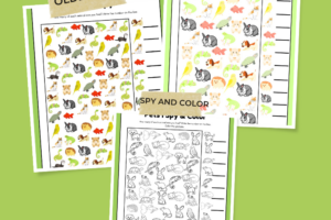 Pet I Spy Printables Pinterest Pin