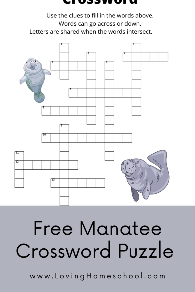 Free Manatee Crossword Puzzle Pinterest Pin