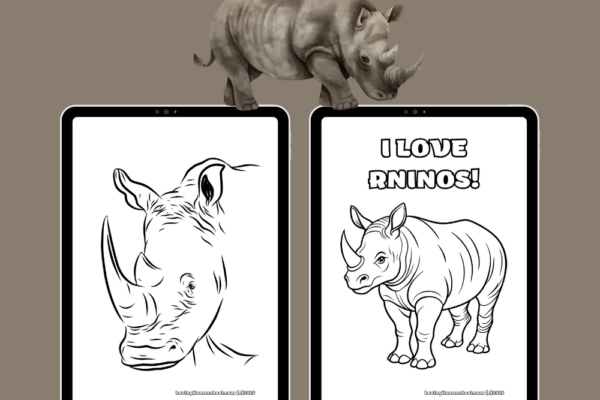 6 Rhino Coloring Pages Pinterest Pin