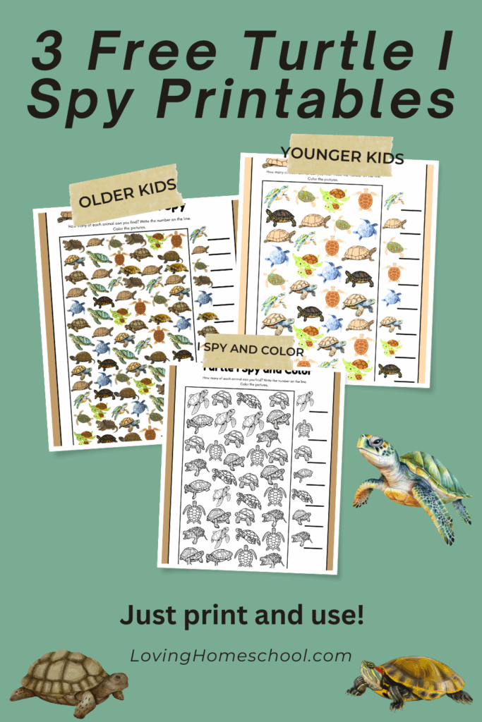 Turtle I Spy Printables Pinterest Pin