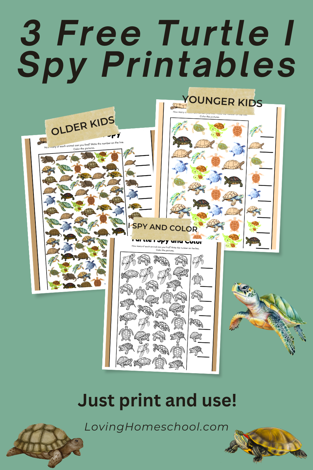 Turtle I Spy Printables Pinterest Pin