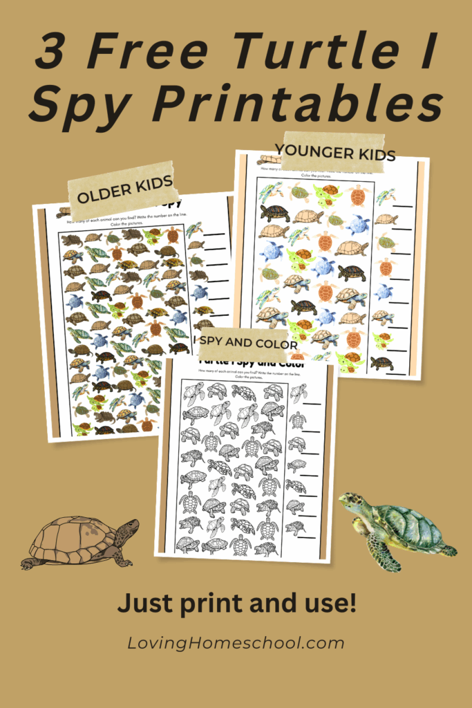 Turtle I Spy Printables Pinterest Pin