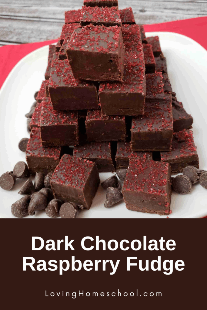 Dark Chocolate Raspberry Fudge Pinterest Pin