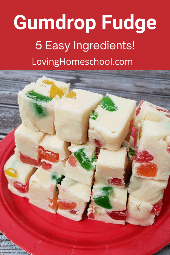 Gumdrop Fudge Pinterest Pin