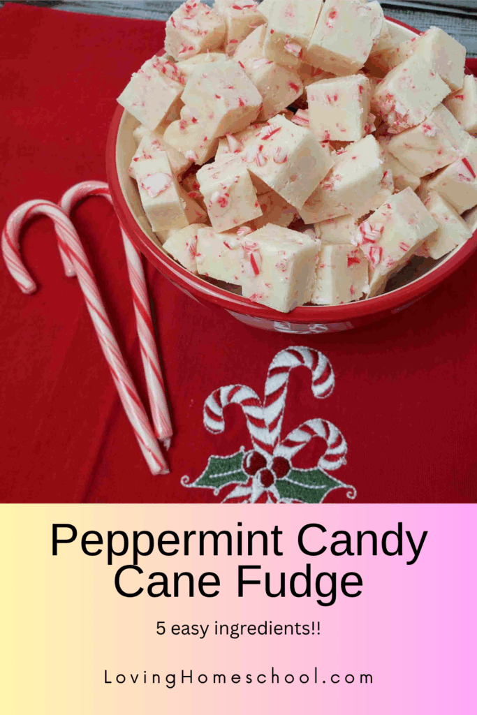 Peppermint Candy Cane Fudge Pinterest Pin