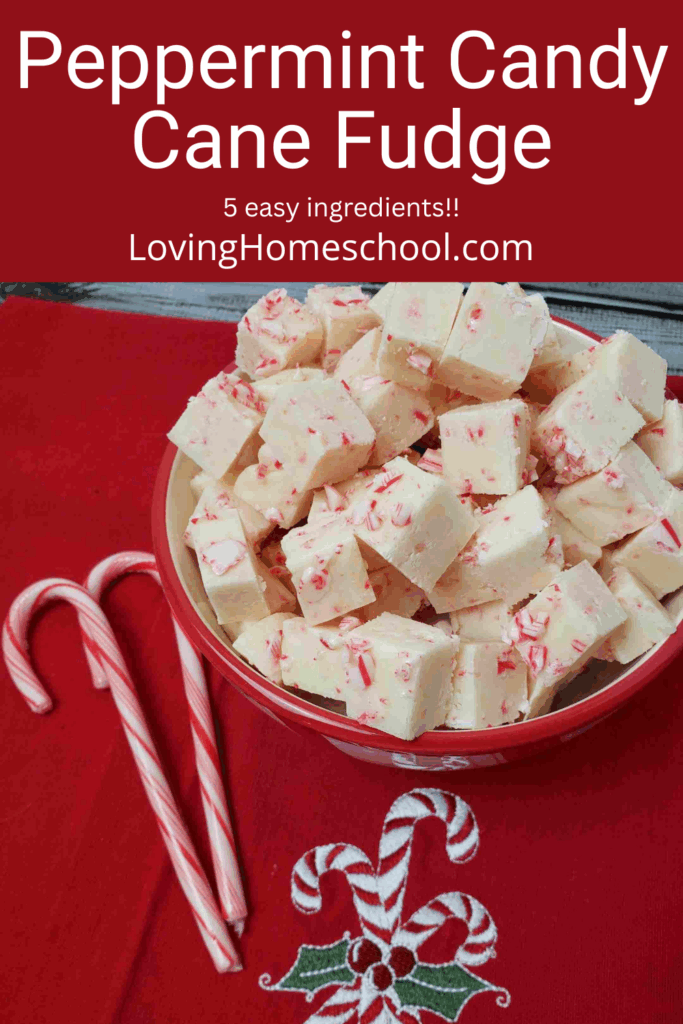 Peppermint Candy Cane Fudge Pinterest Pin