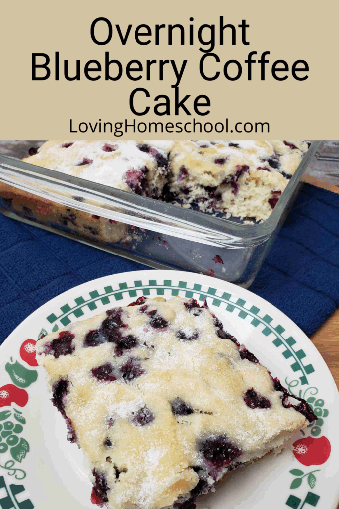 Overnight Blueberry Coffee Cake Pinterest Pin