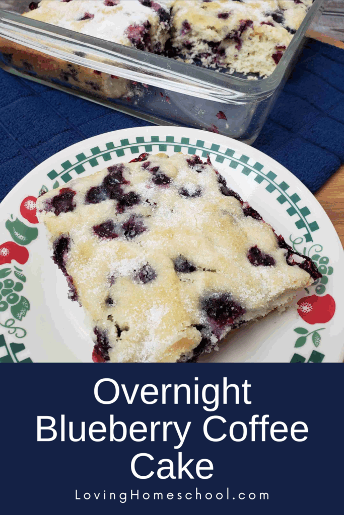 Overnight Blueberry Coffee Cake Pinterest Pin