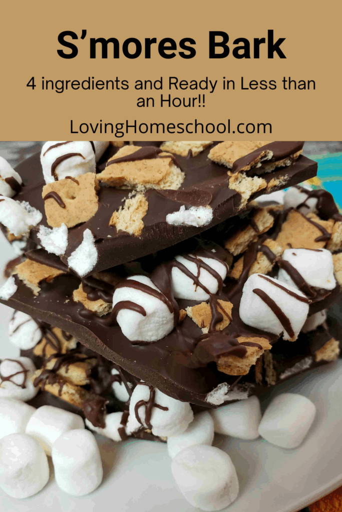 S’mores Bark Pinterest Pin
