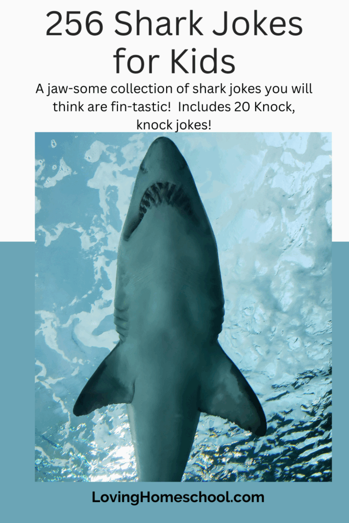 256 Shark Jokes for Kids Pinterest Pin