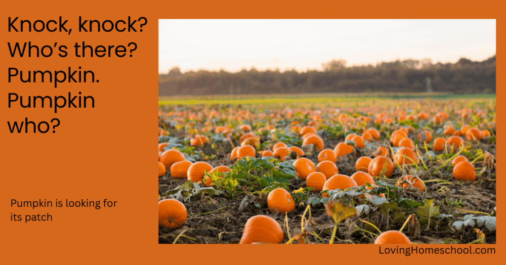 A halloween picture and the joke Knock, knock Who’s there Pumpkin. Pumpkin who