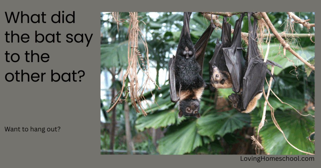 A halloween picture and the joke What did the bat say to the other bat
