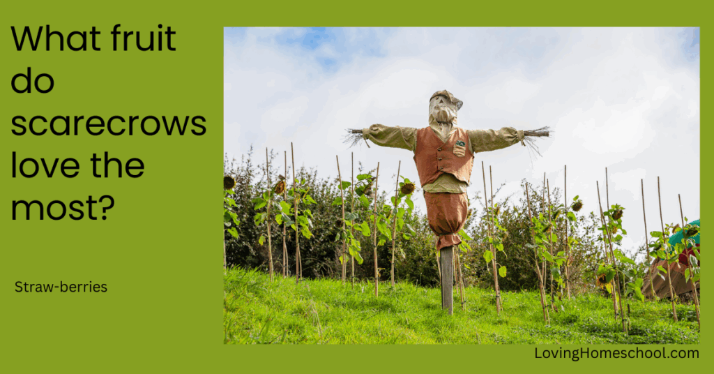 A halloween picture and the joke What fruit do scarecrows love the most