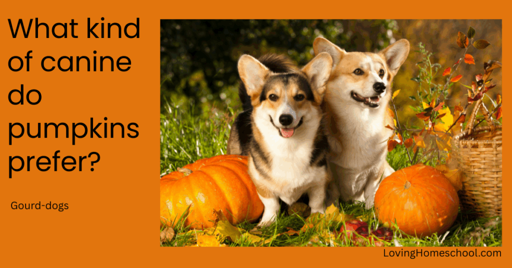 A halloween picture and the joke What kind of canine do pumpkins prefer