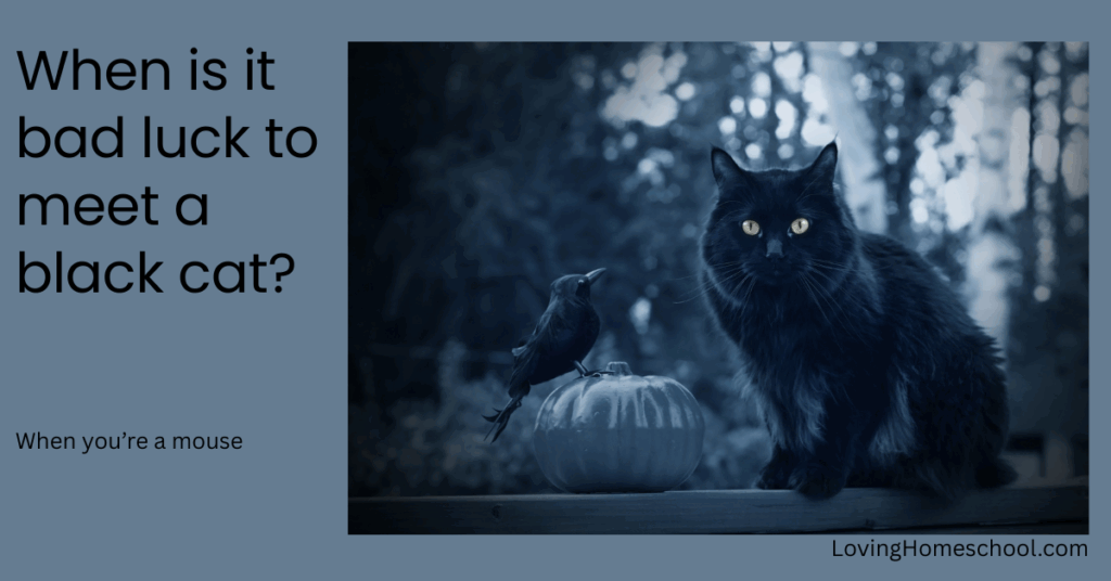 A halloween picture and the joke When is it bad luck to meet a black cat