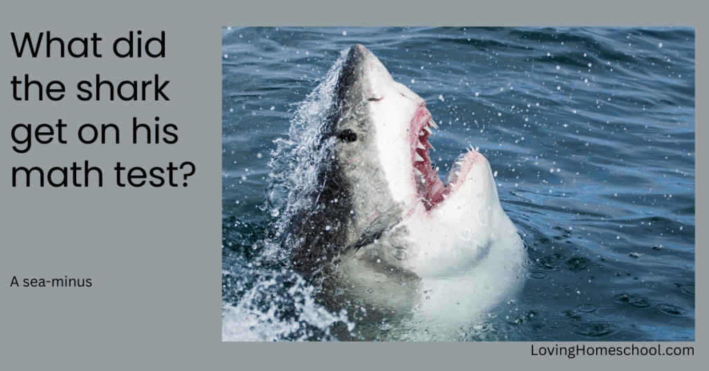 A picture of a shark and the joke What did the shark get on his math test