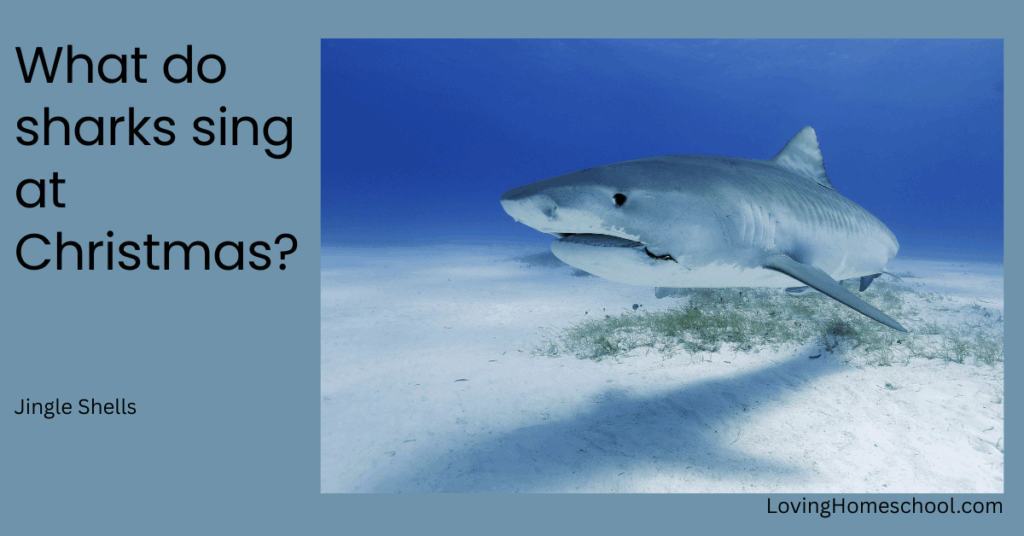A picture of a shark and the joke What do sharks sing at Christmas