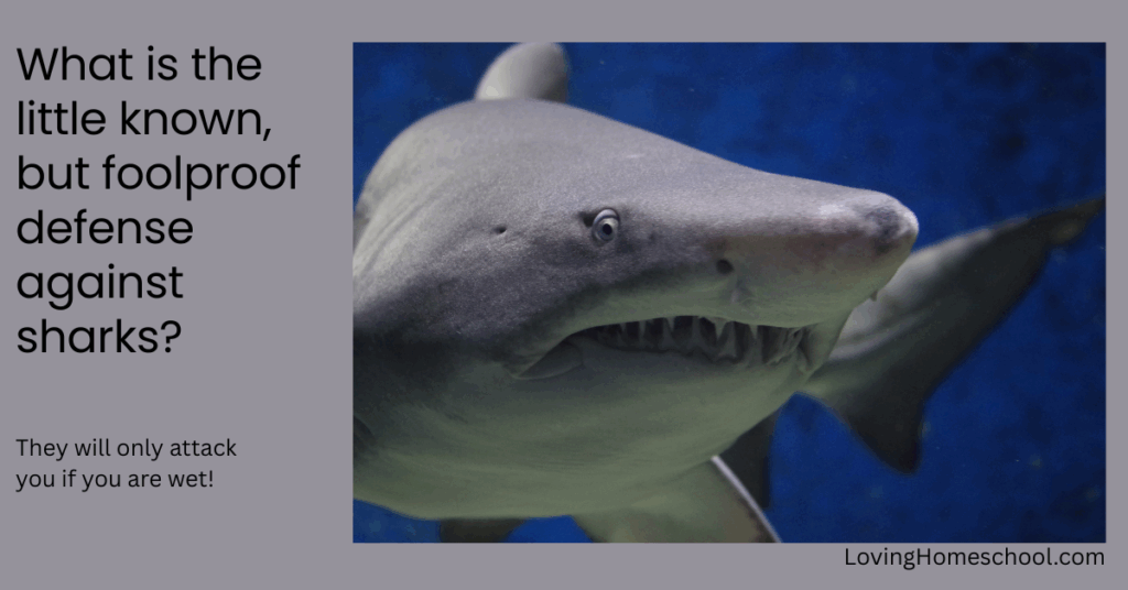 A picture of a shark and the joke What is the little known, but foolproof defense against sharks