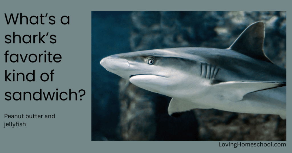 A picture of a shark and the joke What’s a shark’s favorite kind of sandwich