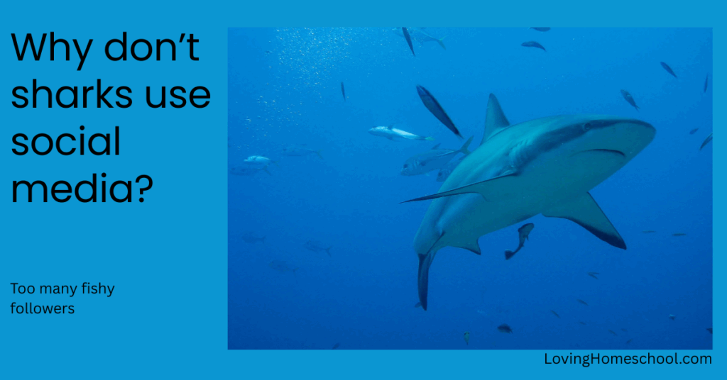 A picture of a shark and the joke Why don’t sharks use social media