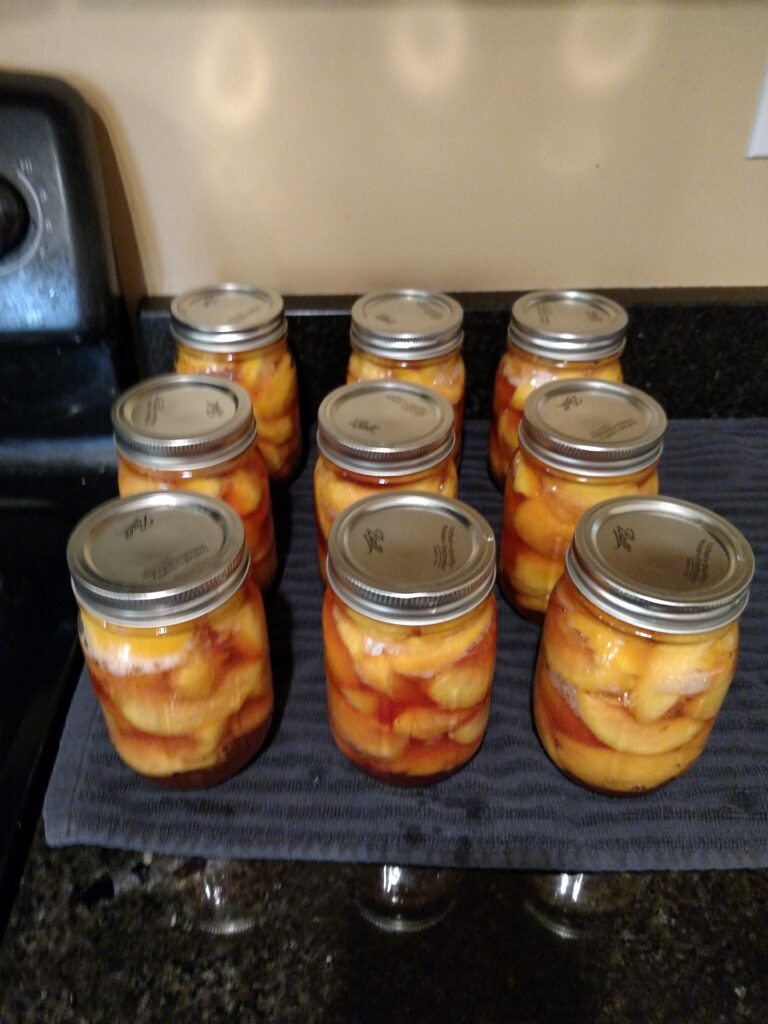 9 beautiful pints of peaches