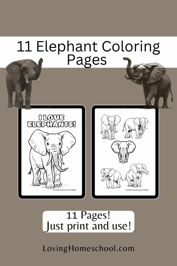 11 Elephant Coloring Pages Pinterest Pin