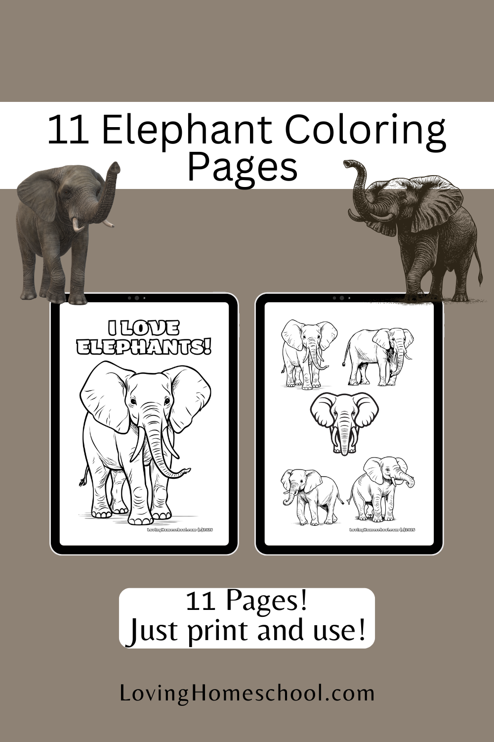 11 Elephant Coloring Pages Pinterest Pin