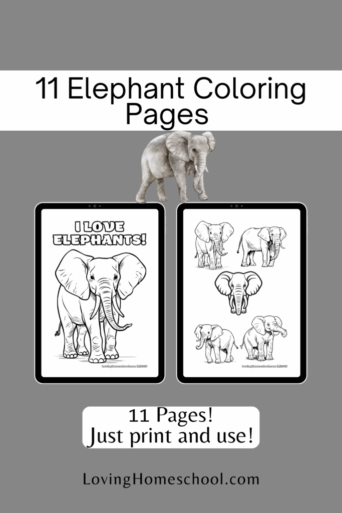 11 Elephant Coloring Pages Pinterest Pin