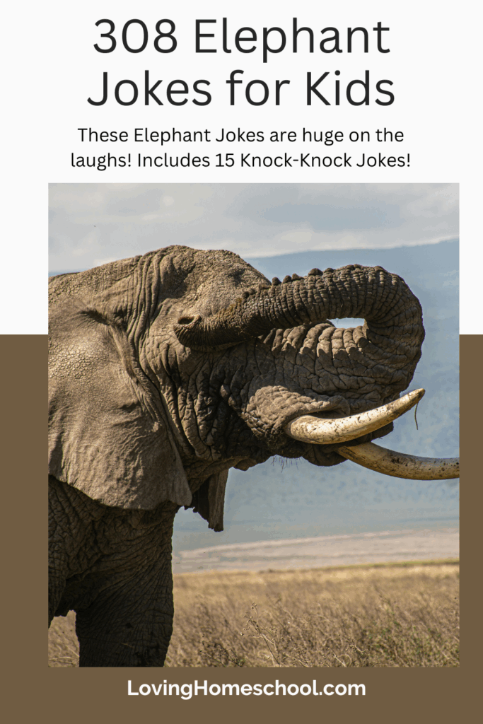 308 Elephant Jokes for Kids Pinterest Pin