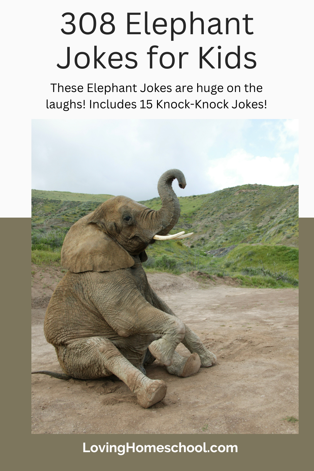 308 Elephant Jokes for Kids Pinterest Pin