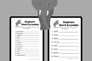 Elephant Word Scramble Printables Pinterest Pin