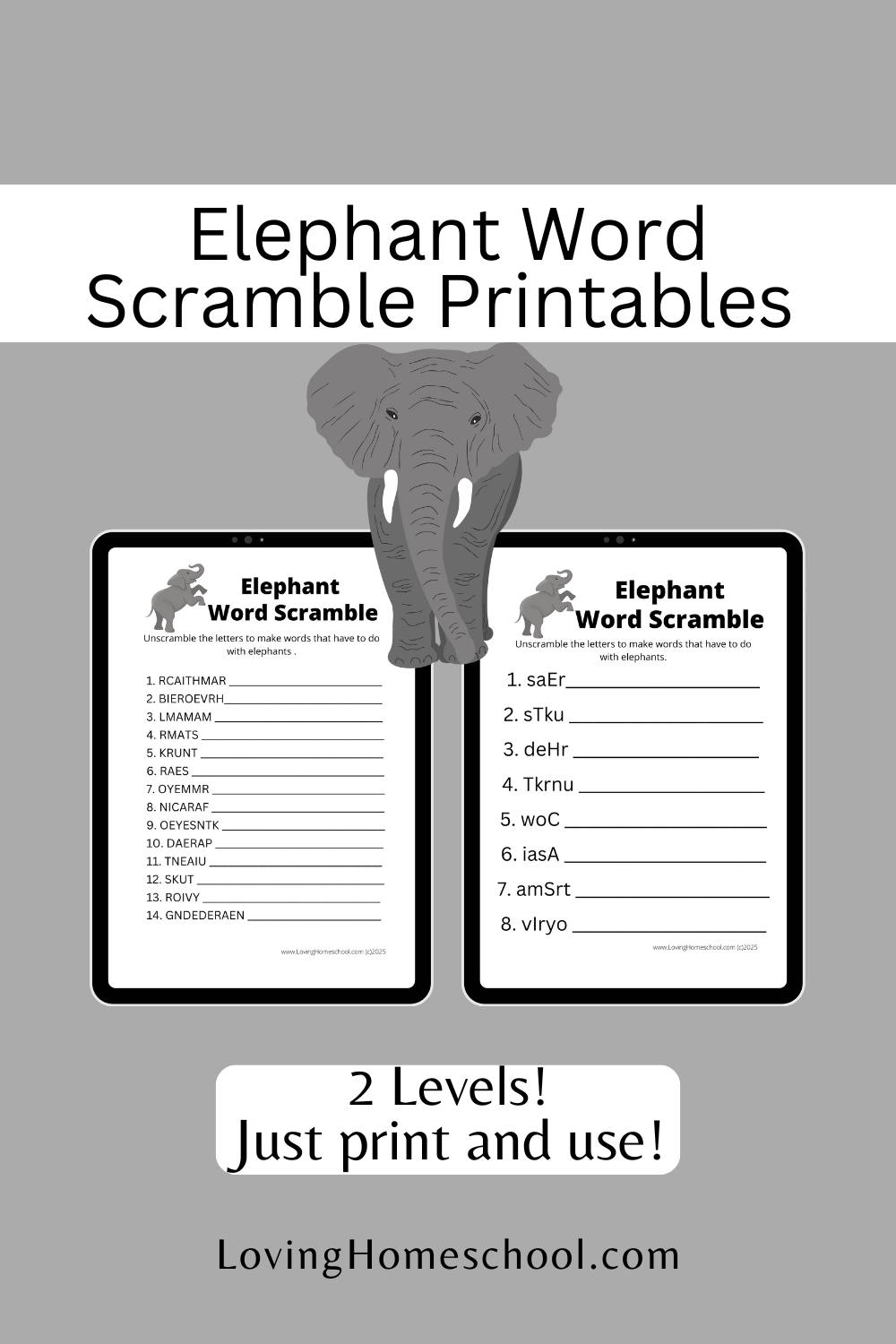 Elephant Word Scramble Printables Pinterest Pin