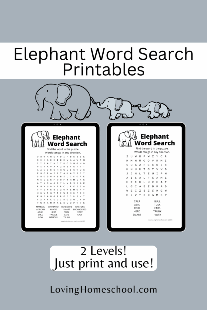Elephant Word Search Printables Pinterest Pin