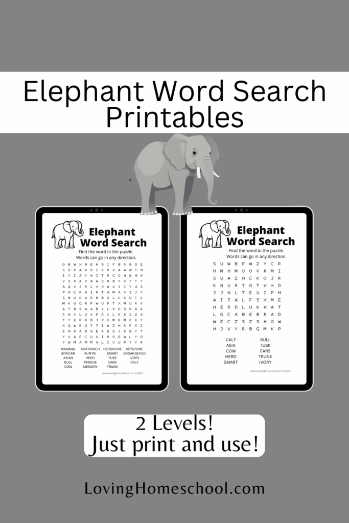 Elephant Word Search Printables Pinterest Pin