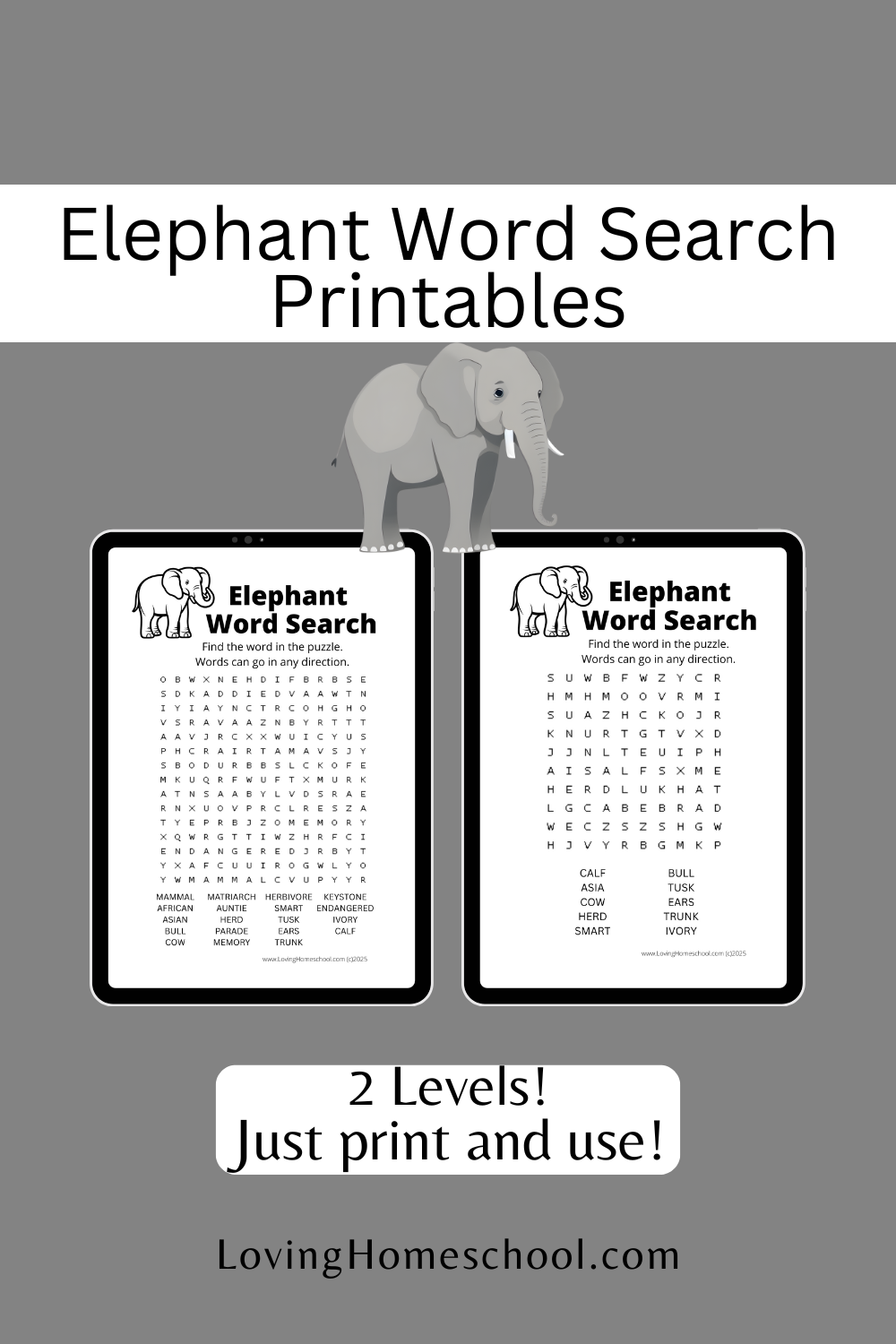 Elephant Word Search Printables Pinterest Pin