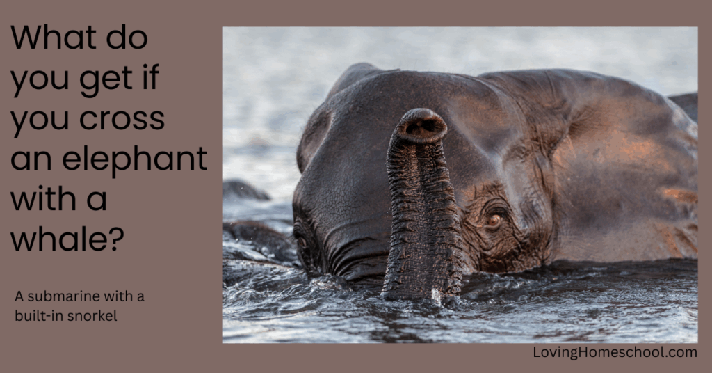 Elephant picture and joke (1)