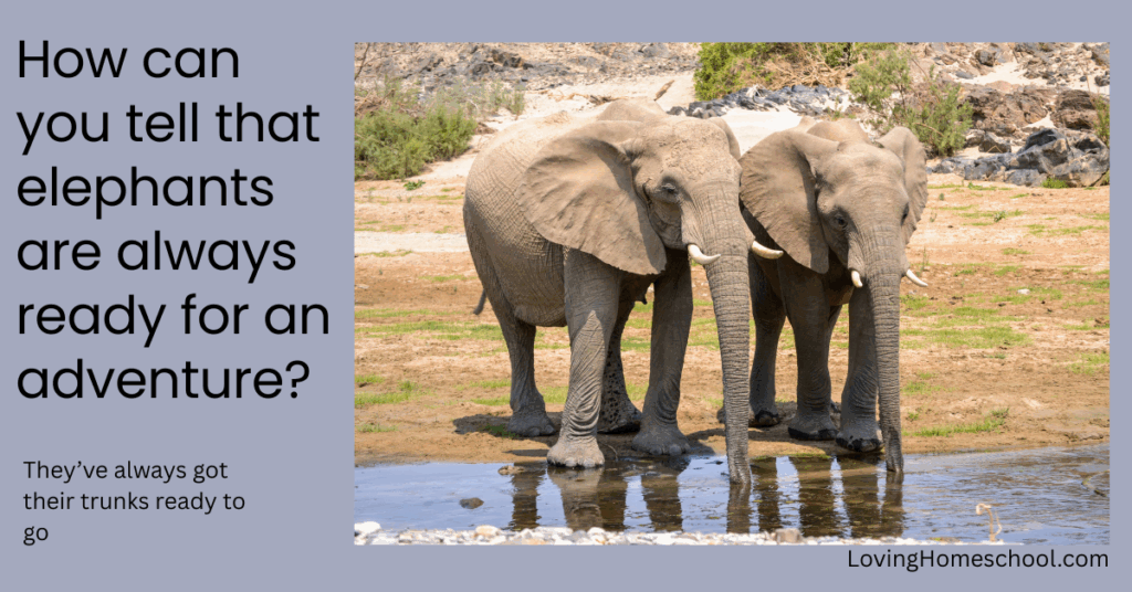 Elephant picture and joke