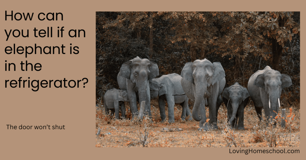 Elephant picture and joke