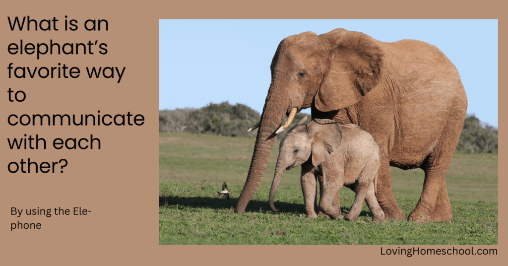 Elephant picture and joke