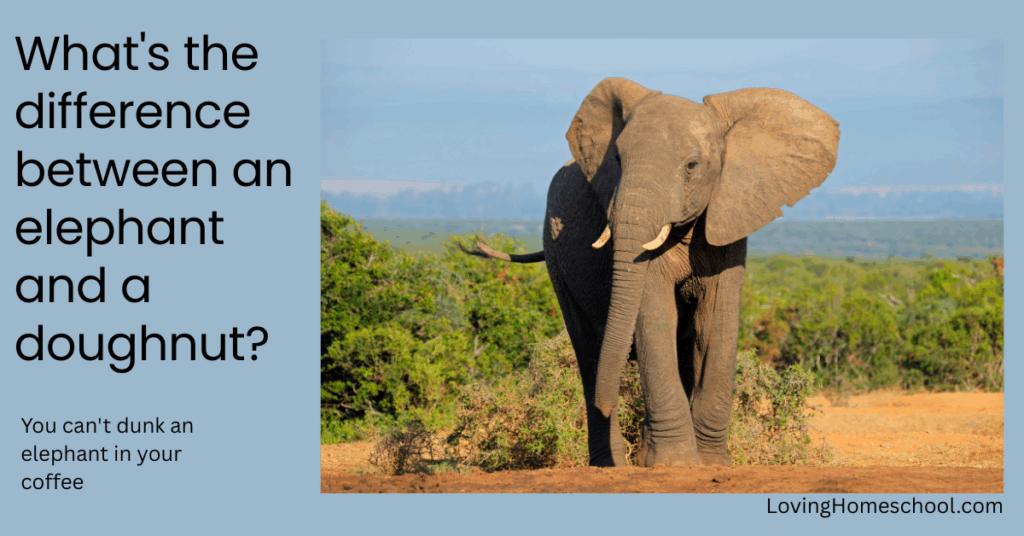 Elephant picture and joke