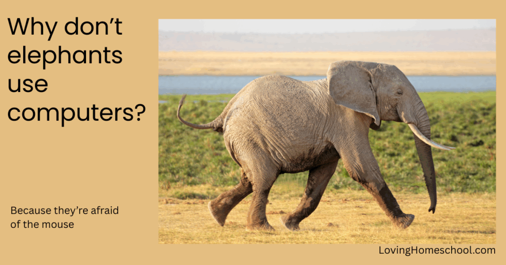 Elephant picture and joke