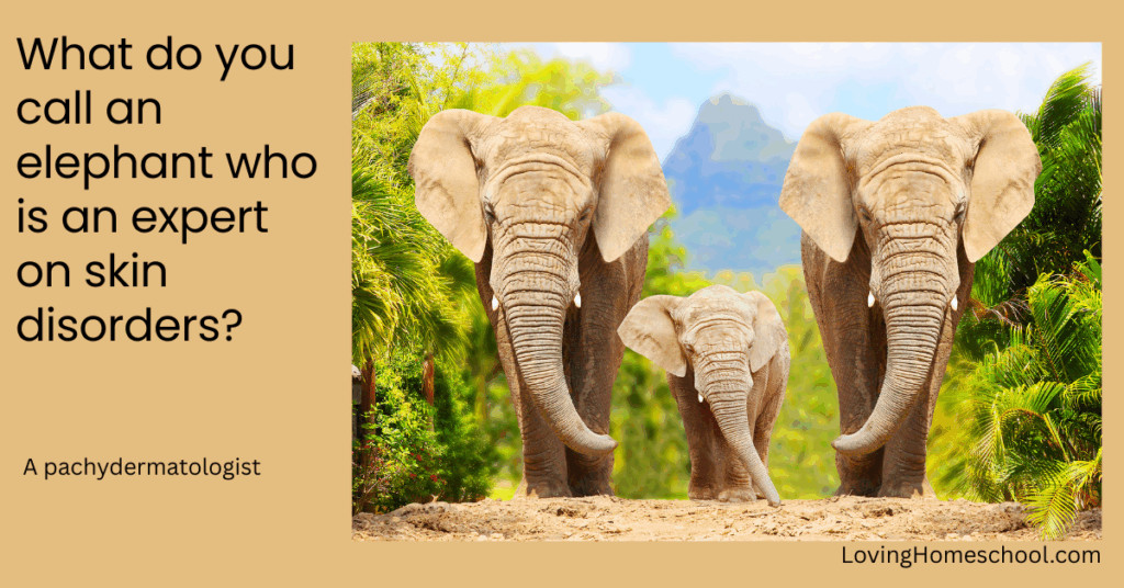 Elephant picture and joke