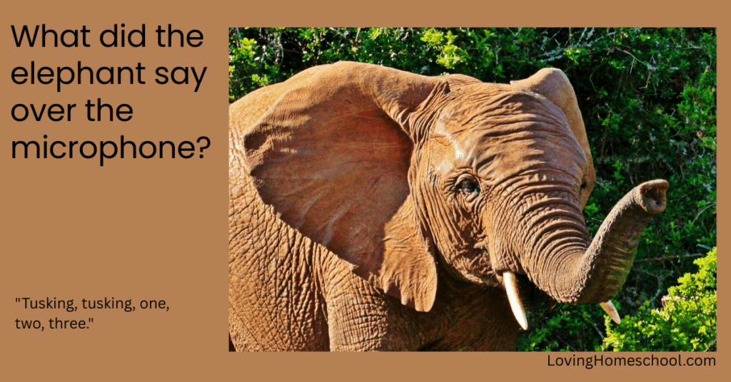 Elephant picture and joke