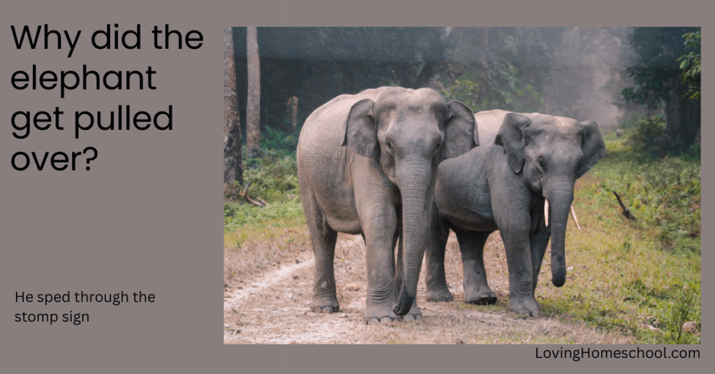 Elephant picture and joke